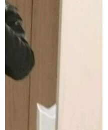adidasoriginals | チノパンツ