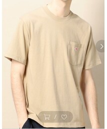DANTON | Tシャツ/カットソー
