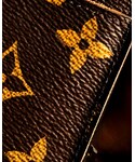 LOUIS VUITTON(ルイヴィトン)の「財布/小物(その他小物)」