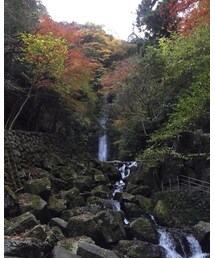 養老の滝行ってきました。 | その他