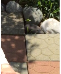 Handmade | Tシャツ/カットソー