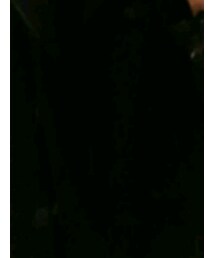 Avail | ピーコート