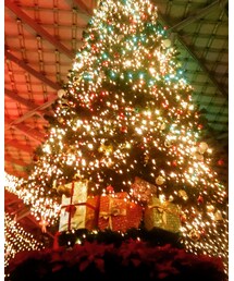 MerryX'mas | その他