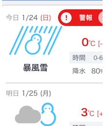 雪だるまが…笑 | その他