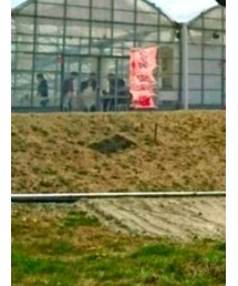 ★祝★掲載依頼② | その他