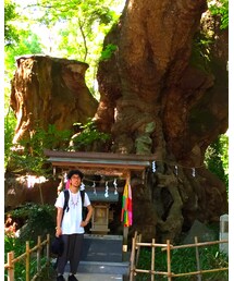 ISSEY MIYAKE | その他パンツ