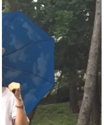 MOMA | 雑貨/ホビー