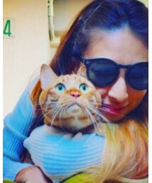 ねこ | 雑貨/ホビー