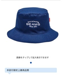 BEAMS | ロゴ刺繍入りバケットハット(ハット)