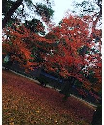 兼六園（昼） | その他