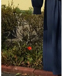 HOMME PLISSE ISSEY MIYAKE | パンツ