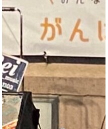 Dickies | チノパンツ