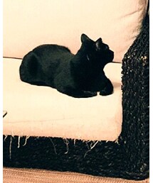 kuroro'n | その他