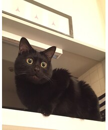 kuroro'n | その他