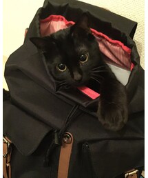 kuroro'n | その他