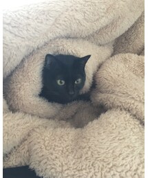 kuroro'n | その他