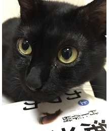 kuroro'n | その他