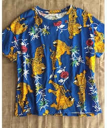 ZARA | Tシャツ/カットソー
