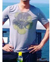 STUDIOUS | Tシャツ/カットソー