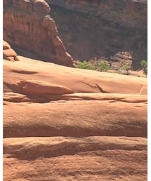 Supreme  | Tシャツ/カットソー