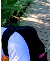 Dickies | バックパック/リュック