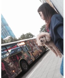 gentleman | サングラス