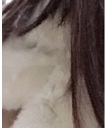 Bershka | ライダースジャケット