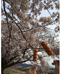 花より団子🌸🍡🍡 | その他