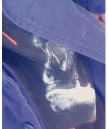 STUSSY | Tシャツ/カットソー