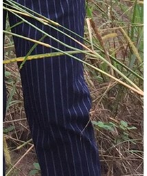 UNIQLO | その他パンツ