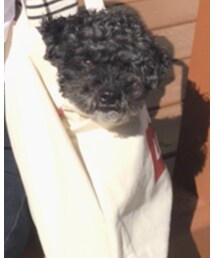 Levi's | トートバッグ