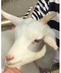 Handmade | アクセサリー