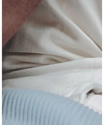 AURALEE | Tシャツ/カットソー