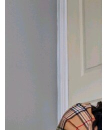 BURBERRY | マフラー