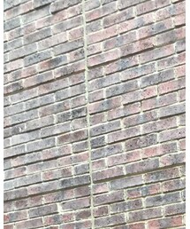 polcadot | ハット