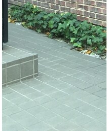 adidas | スニーカー