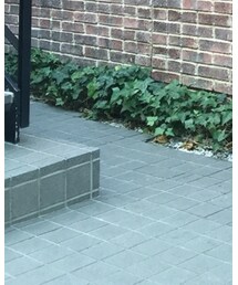 Dr. Martens | ドレスシューズ