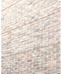 polcadot | ハンチング/ベレー帽