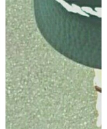 Deniel Wellington | アナログ腕時計