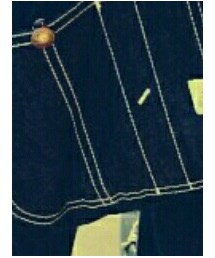 Lee | その他パンツ