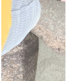 Ocean Pacific | パンツ