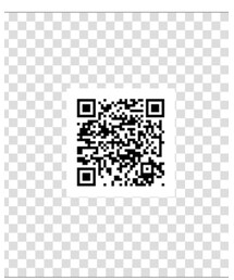 毎日更新してます | その他