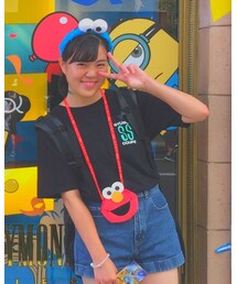 STUSSY | Tシャツ/カットソー