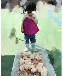 🐥を眺めるだけの図 | その他