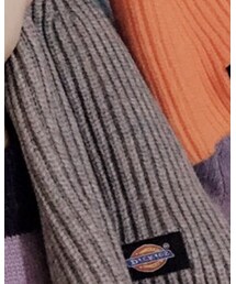 Dickies | ニットキャップ/ビーニー