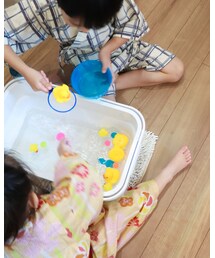 📸: アヒルすくい | その他