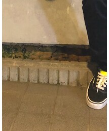 VANS | スニーカー