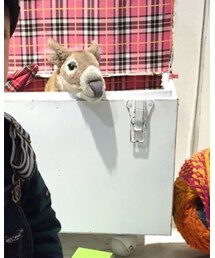 西松屋 | ブーツ