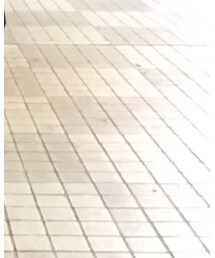 ʕ•͓͡•ʔ-̫͡-ʕ•̫͡•ʔ | Tシャツ/カットソー