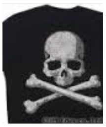 mastermind JAPAN | Tシャツ/カットソー